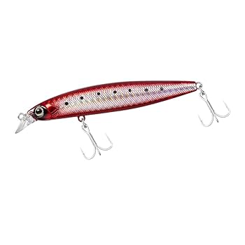 シーバスルアー デイトップで90upのランカーシーバス!! | Megabass-メガバス