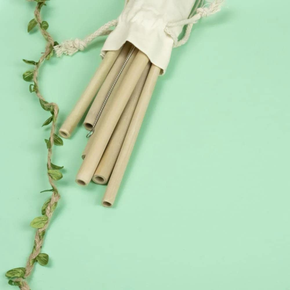 ONEarth Bamboo Straws [Pack of 2 Straw with one Cleaner],Biodegradable Reusable Straw for Kids and Adults, Handcrafted Natural Alternative to Plastic,Non-Toxic and No Inks Dyes Straws-image-36