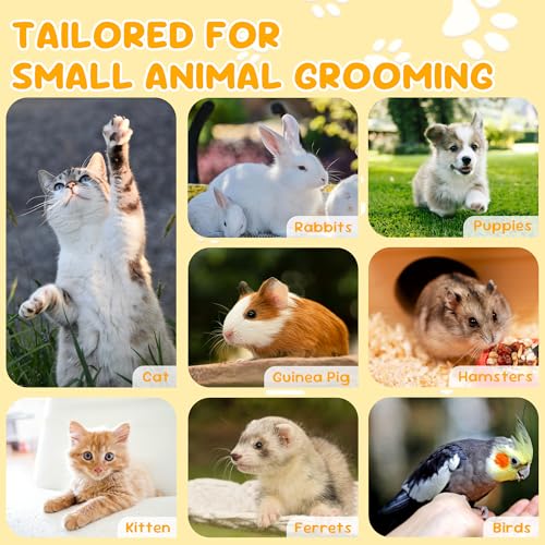 Krallenschere Katzen Schere für Anfänger toll geeignet,Ausgezeichnete Krallenschere Liegt gut in der Hand, katzen nagelschere ist sehr einfach und sicher anzuwenden