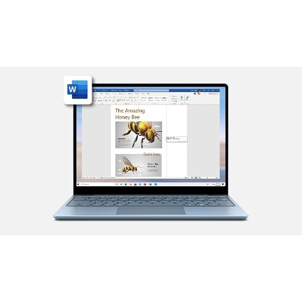 Microsoft Surface Laptop Go - 12.4" Touchscreen - Intel Core i5 - 8GB Memory - 128GB SSD - Platinum