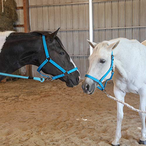 Cabestros para caballos con herrajes resistentes de oro rosa y ajuste doble Majestic Ally 4