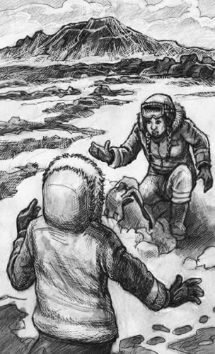 Antarctica! (Choose Your Own Adventure) - Image 5