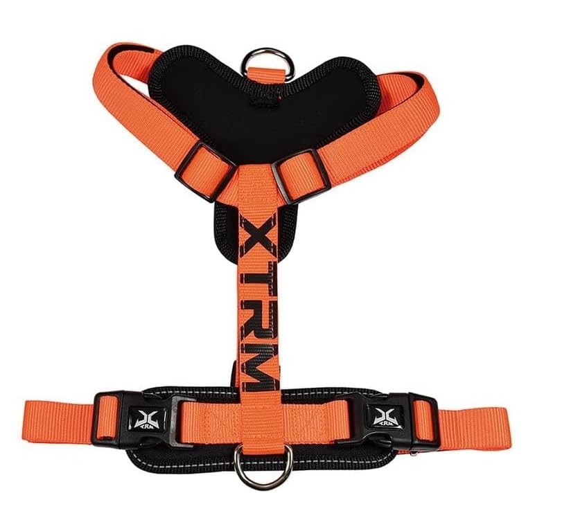Nayeco 06947 Arnes x-TRM Cronos Neón Flash, Naranja, 60-100 x 2.5 Cm