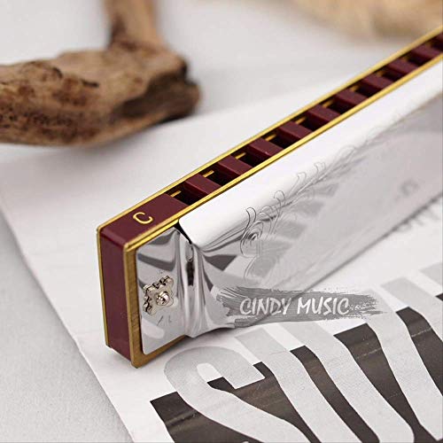 Harmonica diatonique Silver Folkmaster Gaita Standard 10 trous Harmonica diatonique débutant Blues Harp - Les Beatles, Paul McCartney, John Lennon, RIngo Starr, George Harrison Harmonica diatonique Silver Folkmaster Gaita Standard 10 trous Harmonica diatonique débutant Blues Harp – Image 4