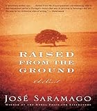 Raised from the Ground: A Novel