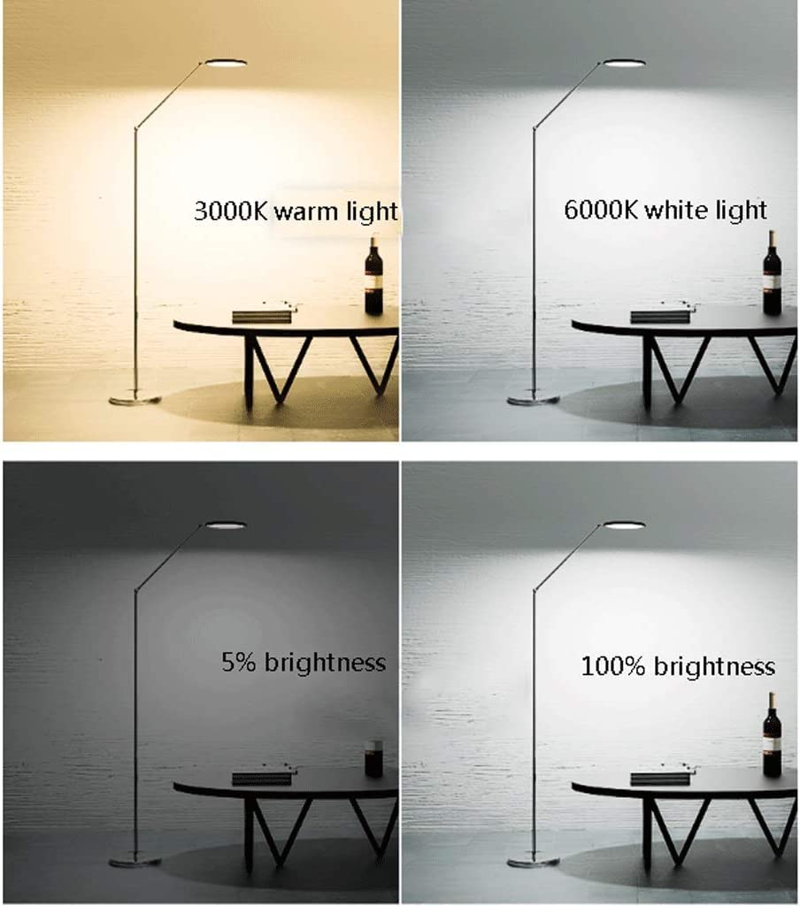 Lampada da Terra Lampada da Terra Luce soffusa Cura degli Occhi Lampade da Terra a LED Livello di luminosità e Colore dimmerabili Lampada da Terra a palo affidabile