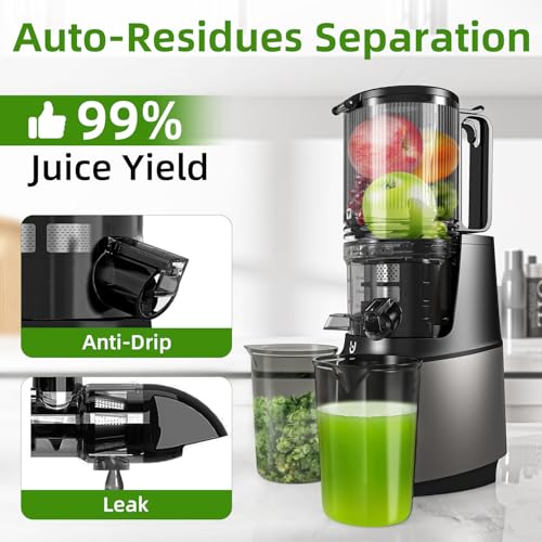 Oyeree Cold Press Juicer Machines thumb #2