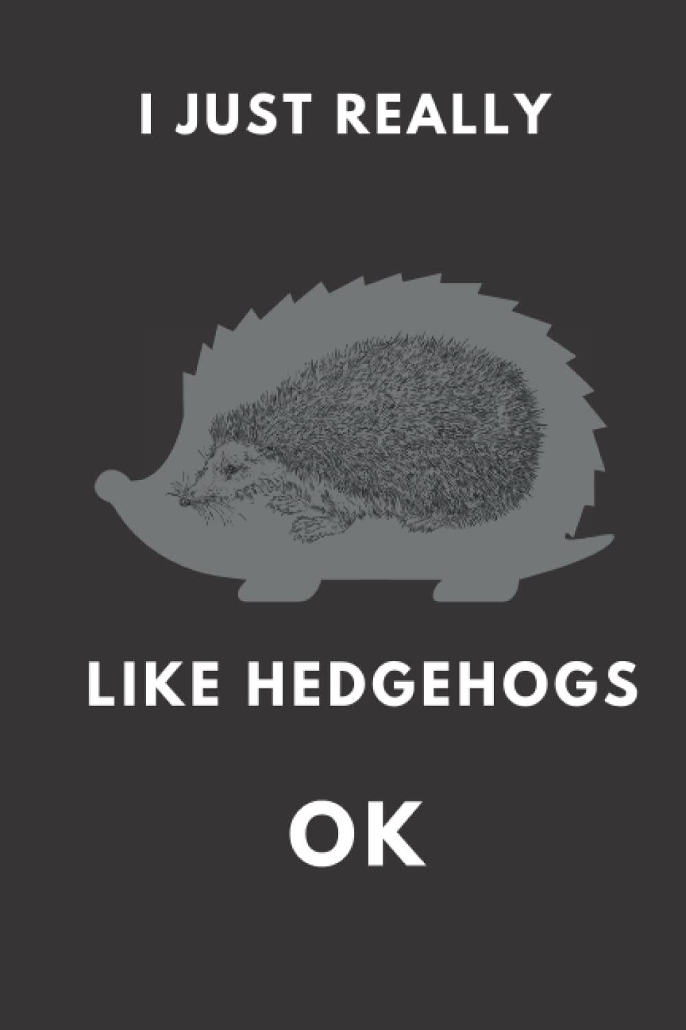 I Just Really Like Hedgehogs OK?: 6x9 Inch Journal Diary Notebook 120 Blank Lined Pages: Cute Gift for a Hedgehogs lover |birthday,christmas gift