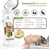 KKT Coconut & Avocado Shampoo - Moisturizing & Nourishing Hair Care with Natural Oils, Damaged Hair Repair, Silicon-Free, Chemical Free Formula, 240 ml 8.12oz