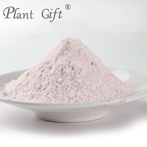Miniatura 3 de Plant Gift Harina de taro 100% pura y natural en polvo, gran sabor para bebidas, batidos, yogur, hornear, galletas, pasteles y bebidas, polvo sin