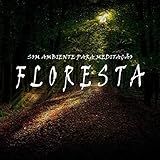  Som Ambiente para Meditação: Floresta, Pt. 34