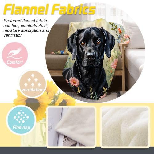 Couverture Polaire 240 x 260 Animal Chien, Couverture Polaire Grande Taille 240x260 cm | Usage Multiple comme Couette d'Appoint, Assure Une Protection Contre Le Froid I9-