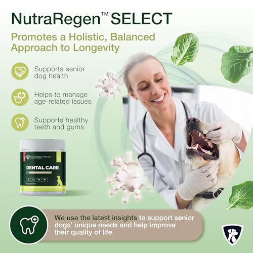 Select Senior Dog Dental Powder 30 Servings | Beef Flavored Dog Breath Freshener for Oral & Gum Health | Pet Dental Powder Helps Manage Plaque & Tartar Buildup and Chewing Issues | 4.6 Oz