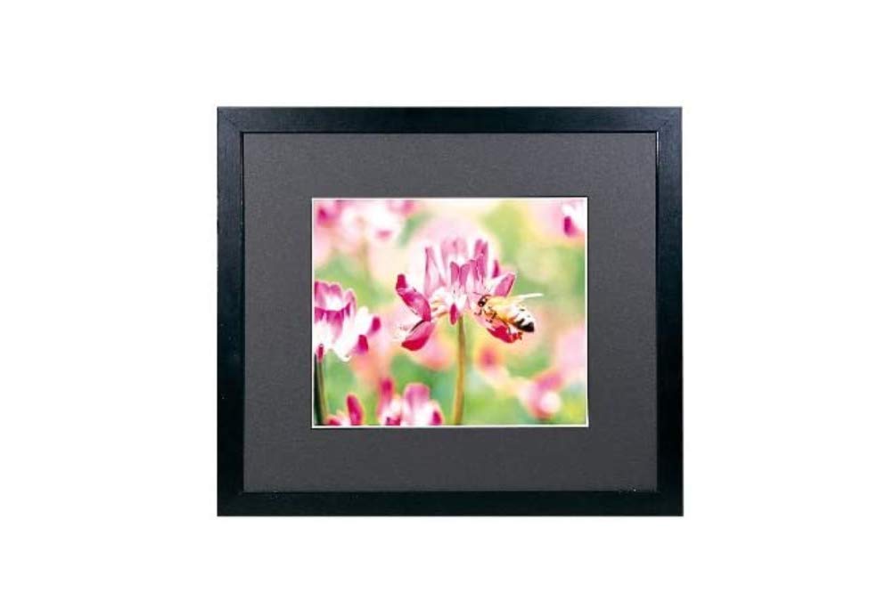 Amazon | FUJICOLOR 額縁 ワイドマットフレーム M3000 アクリル 半切