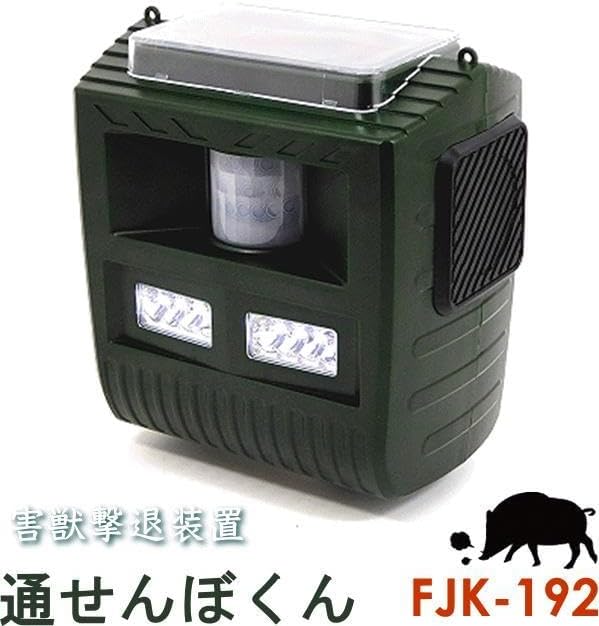 フィカス アルテシマ 8号 143cm S-shaped フィカス・ウンベラータ 8号