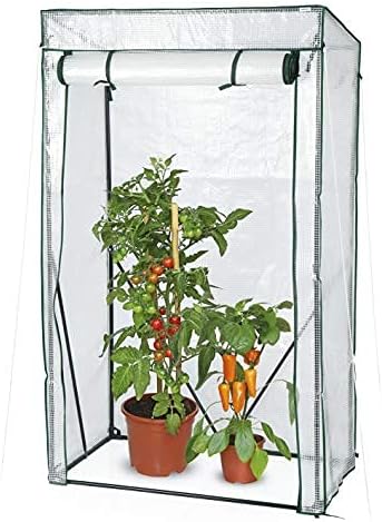 Hoberg Foil Greenhouse | with Cross Braces and Pegs | Ideal as a Greenhouse, Garden Shed, Tomato House | 100 x 50 x 158/170 cm [PE Film 140 g/m²]