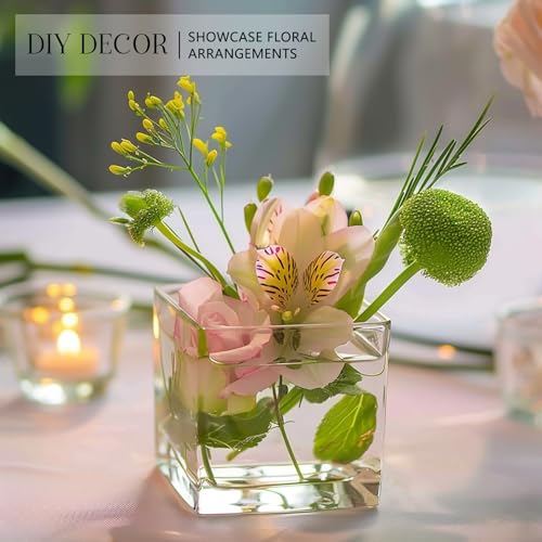 Keywing SGV-4IN-6P 6 Pack Square Glass Vase 4 Inch X 4 Inch X 4", Clear Flower Vases For Centerpieces, Square Glass Cube Vase Candle Holder thumb #4