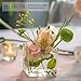 KEYWING 6 Pack Square Glass Vase 4