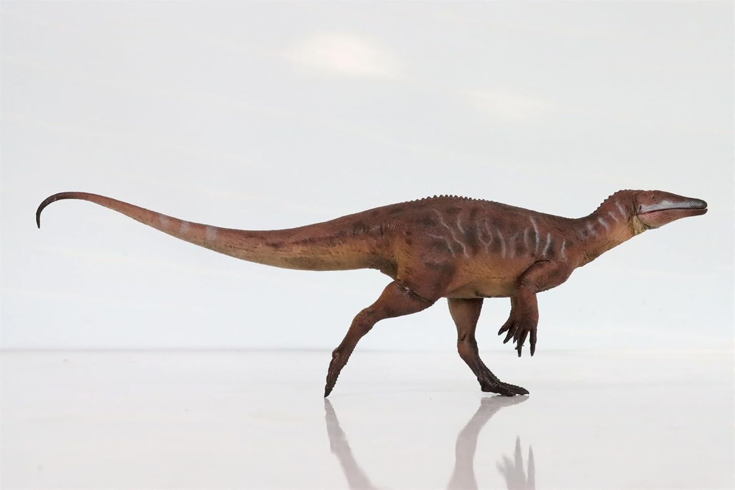 HLG Studio 1:35 Scale Megaraptor Model PVC Dinosaurs Figure Collection Realistic Decoration Gift for Adult (Red)