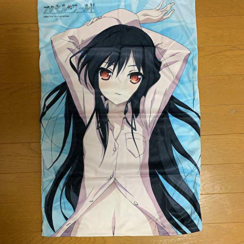 Amazon | アクセルワールド 黒雪姫 抱き枕カバー | アイドル・芸能人 