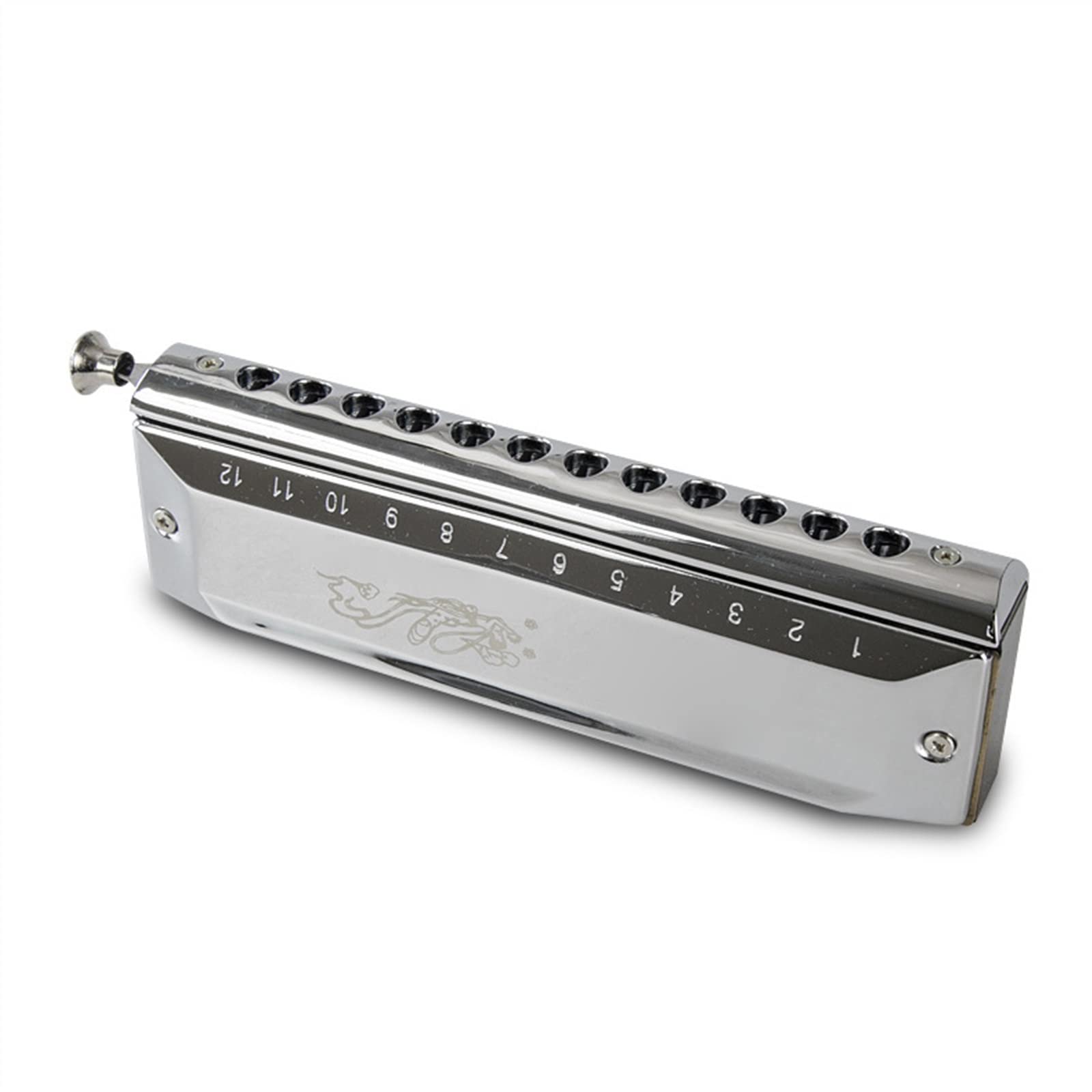 Armonica Cromatica A Dodici Fori Cromatica per Adulti Che Suona L'armonica per Strumenti Musicali Armonica per Principianti