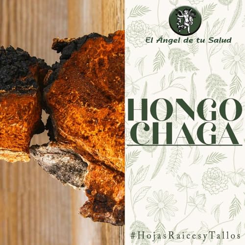 『El Ángel de tu Salud - Hongo Chaga**』のカバーアート