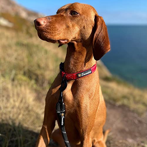 Strong Dog Collar Large Dogs - Red Reflective Adjustable Padded Dogs Collars - Aluminium V-ring Dog Safety - Image 4