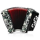 Accordion - 22 keys 8 bass, lightweight piano accordion for beginners, vibrant design for beginners and adults for easy learning (8 Bass, Multicolor)