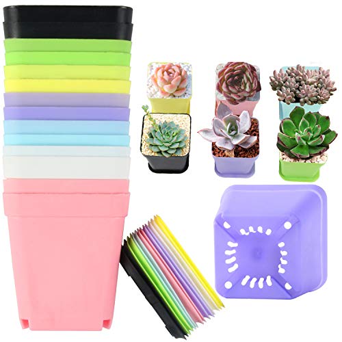 Augshy 14pair Plastic Plant Flower Nursery Pots with Pallets,7 Great for Succulents