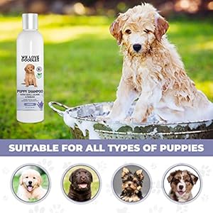 Puppy Shampoo & Conditioner | Made in USA | Organic Ingredients | Tear Free | Best Shampoo for Puppies | Sensitive & Itchy Skin Wash | Oatmeal Bathing | Tearless, Lavender, 8oz [We Love Doodles]