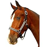 Intrepid International Breakaway Leather Crown Padded Halter