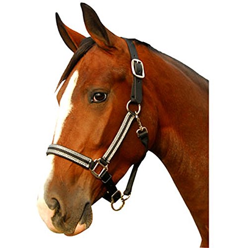 Intrepid International Breakaway Leather Crown Padded Halter