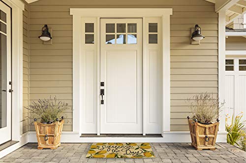 Dii Natural Coir Doormat, Fun Greeting Mat, Squeeze The Day, 18X30 #TOP2