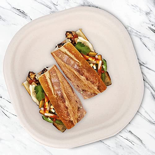 Image of [6 inch, 25 Count, Square, Beige Disposable Bagasse Paper Plates | Eco-Friendly Sugarcane Plates for Wedding, Party, Cafes | Ideal for Both Hot & Cold Food