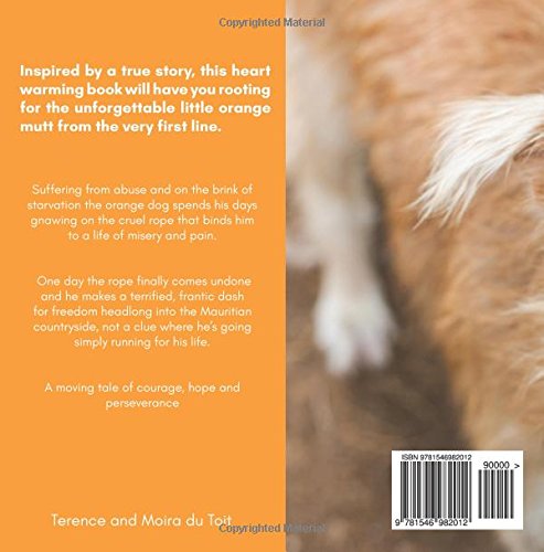 The Orange Dog: A bittersweet book for animal lovers (Children's Dog Books) (ages 9-12)