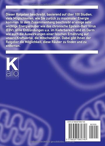 Der Energiefix: Erste Hilfe bei Energiemangel und chronischer Erschöpfung (German Edition)