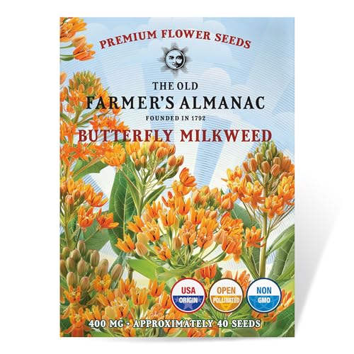 The Old Farmers Almanac Butterfly Milkweed Flower Seeds - Premium Non-GMO Open Pollinated USA Origin (1 Packet - 400 MG - Approx 40 Seeds)