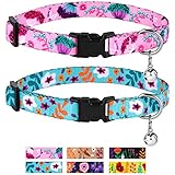 CollarDirect Cat Collar with Bell Floral Pattern 2 Pack Set Flower Adjustable Safety Breakaway Collars for Cats Kitten (Pink + Aquamarine)