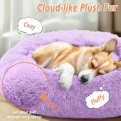 Image of JOLLYVOGUE Calming Small Dog & Cat Bed for Indoor Cats - 20 inches Washable Donut Bed for Kittens & Puppies, Anti-Anxiety Round Fluffy Plush Pet Beds (Fits up to 15 lbs, Purple)