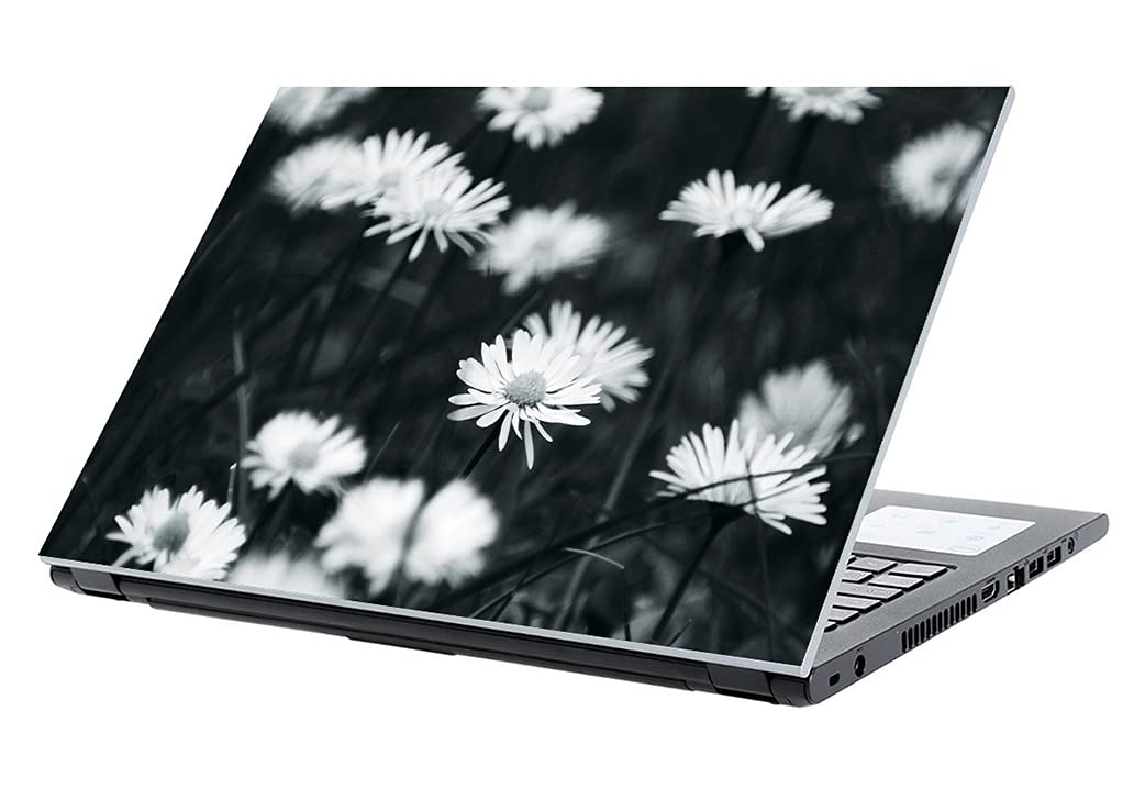 Photography For 17 Inch Laptop Skin
