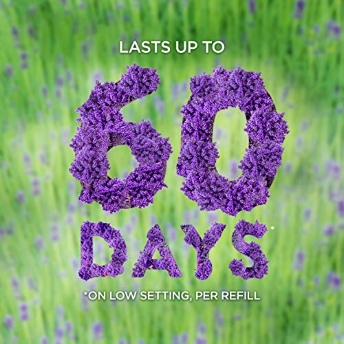 image for Air Wick Plug in Scented Oil 5 Refills, Lavender & Chamomile, Essentia