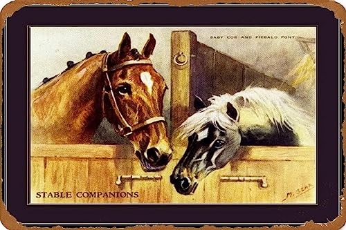 Be[W uL Ŕ pvgRu܂|j[nn|j[Be[WA[g摜vg Be[W uL Ŕ AJ W 20X30cm