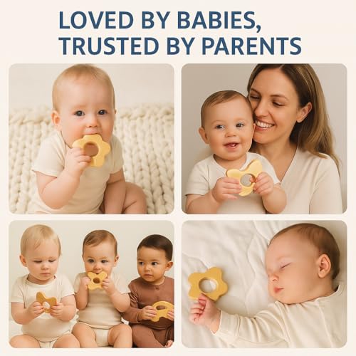 Image of Shark Doo Doo Neem Wood Baby Teether Combo (Car, Butterfly & Flower) | Organic & Handcrafted | Paint-Free, Antibacterial Teething Toy for Babies