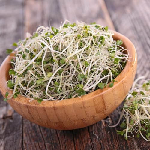 Handy Pantry Organic Sprouting Seed Assortments - Microgreens, Sprout Seeds Variety Pack (12 Pack - Premeasured)