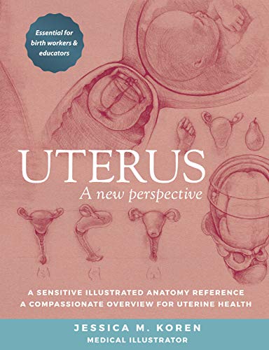 Uterus: A New Perspective: A Complete Guide to Uterine Health and ...