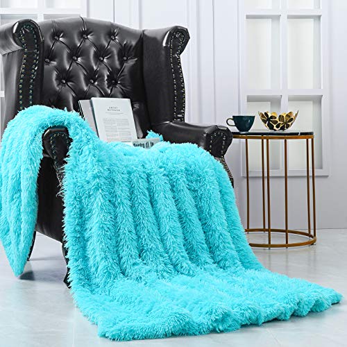 Pacapet Soft Fuzzy Throw Blanket for Couch, Shaggy Sherpa Fleece Blanket for Bed, Washable & Lightweight, Fluffy Faux Fur Blanket for Bedroom, Sofa, Home Decor, 60 x80 Twin Size, Teal