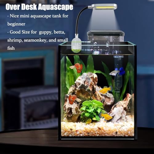 Craftsboys 5.5L Aquarium-Starter-Kits, Nano-Glas-Aquarium mit Filter, LED-Licht für Aquascape DIY kleines Betta-Fischbecken