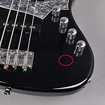 Amazon | Bacchus WL-434 ACT BLK/BKP-PG アクティブ4弦 バッカス