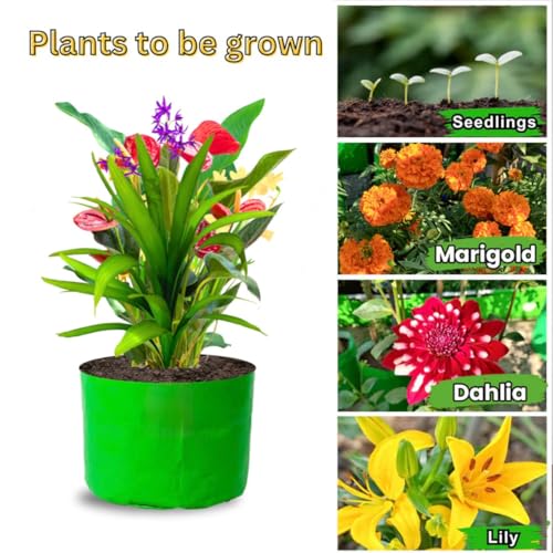 Image of HDPE UV-Protected Grow Bag Green Colour Plant Bags Suitable for Terrace and Vegetable Gardening (Pack of 10, 9X6)