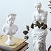 LKXHarleya 11.8 Inch Classic Greek Michelangelo David Bust Statue Replica Sculpture Figurine for Artist